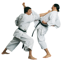 Karate Martial Male Fighter Free Photo