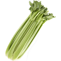 Celery Green Organic Free Download PNG HQ