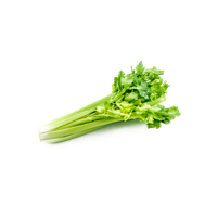 Celery Green Organic Free Download Image