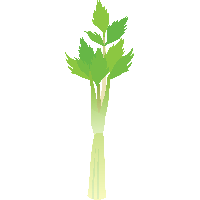 Celery Green Organic Photos Free Download PNG HQ
