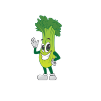 Celery Green Pic Organic PNG File HD