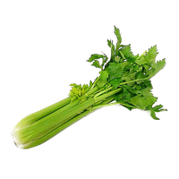 Celery Green Organic Download Free Image