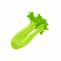 Celery Green Organic PNG File HD
