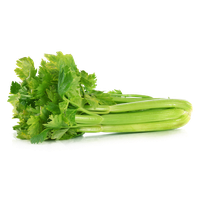 Celery Green Organic Free Photo