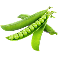 Green Organic Pea Photos Free Download PNG HQ