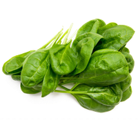 Green Organic Spinach Free Transparent Image HD