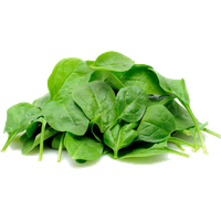 Green Organic Spinach HD Image Free