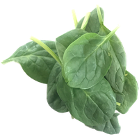 Green Organic Spinach Free Transparent Image HD