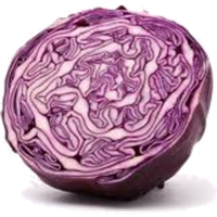 Purple Cabbage Half PNG Free Photo