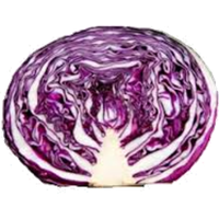 Purple Cabbage Half Download Free Image
