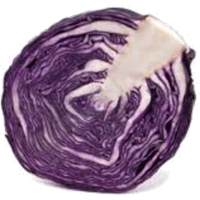 Purple Cabbage Half Free Clipart HQ