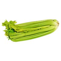 Celery Sticks Bunch Free Clipart HQ
