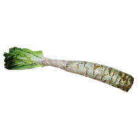 Photos Celtuce PNG Image High Quality