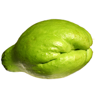 Chayote Free Download PNG HQ