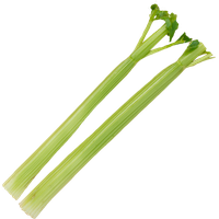 Celery Fresh Sticks Photos Free Photo