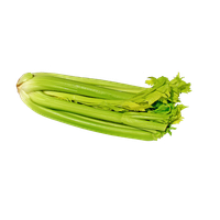 Celery Fresh Sticks PNG Download Free