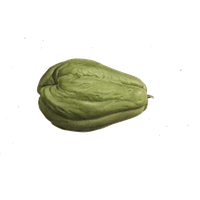 Fresh Chayote Photos PNG Image High Quality
