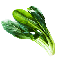 Fresh Chinese Spinach Free Download Image