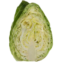 Fresh Cabbage Half Download HQ