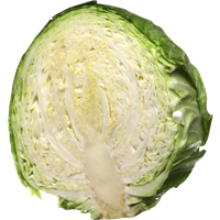 Fresh Cabbage Half PNG Free Photo