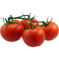 Fresh Tomatoes Bunch HQ Image Free