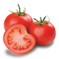 Fresh Tomatoes Bunch Free HQ Image