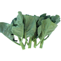 Green Chinese Spinach Free PNG HQ