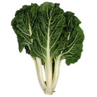 Green Chinese Spinach PNG Free Photo