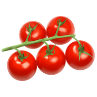 Fresh Juicy Tomatoes Bunch Free Clipart HQ
