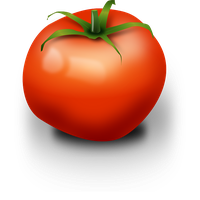 Fresh Organic Tomatoes Bunch Free Download Image