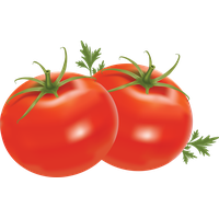 Fresh Organic Tomatoes Bunch PNG Image High Quality