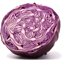 Purple Cabbage Half PNG Image High Quality