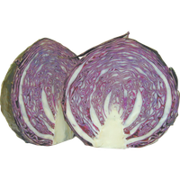 Purple Photos Cabbage Half PNG Image High Quality