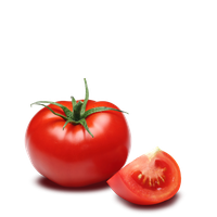 Fresh Tomatoes Red Bunch PNG Download Free