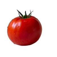 Fresh Tomatoes Red Bunch Free Transparent Image HD
