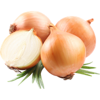 Onion Half Free Photo