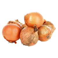 Pic Onion Download Free Image
