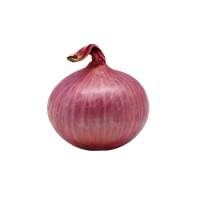 Onion Free Transparent Image HD