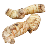 Galangal PNG Image High Quality