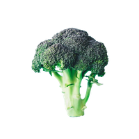 Green Broccoli Free Photo