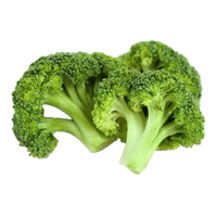 Green Broccoli Free HD Image