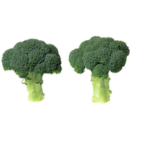 Green Broccoli Download HD