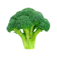 Green Broccoli HD Image Free