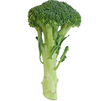Green Broccoli HD Image Free