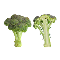 Green Broccoli Download HQ