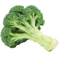 Pic Green Broccoli PNG Image High Quality