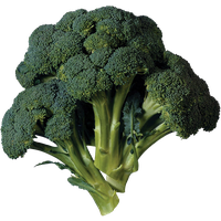Green Broccoli PNG File HD