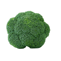 Picture Green Broccoli HD Image Free