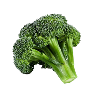 Green Broccoli Free Transparent Image HD