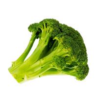 Green Broccoli PNG Free Photo